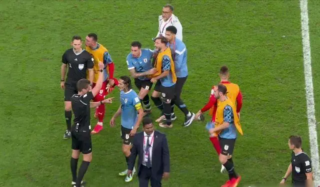 乌拉圭帅球员_乌拉圭球员肌肉_乌拉圭球员围攻裁判