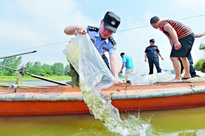 四川宜宾破获一起非法捕捞长江水生动物案涉案金额超千万