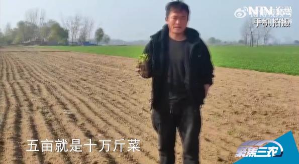 媒体评农民毁菜_热刺媒体评保利尼奥_媒体评小凤雅去世