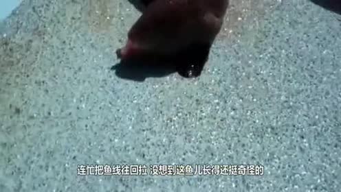 广东省11岁男孩街头杀鱼网友：父亲去世后母亲改嫁
