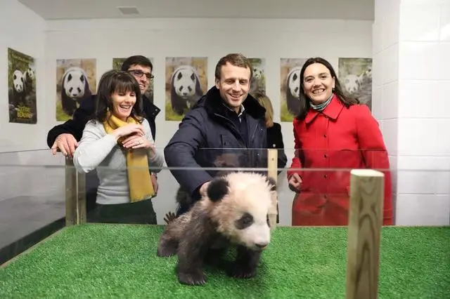 法国熊猫纪录片zone_法国熊猫纪录片叫什么_法国续租大熊猫