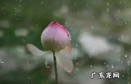 广东梅雨天气在几月 2022年广州梅雨天气持续多久