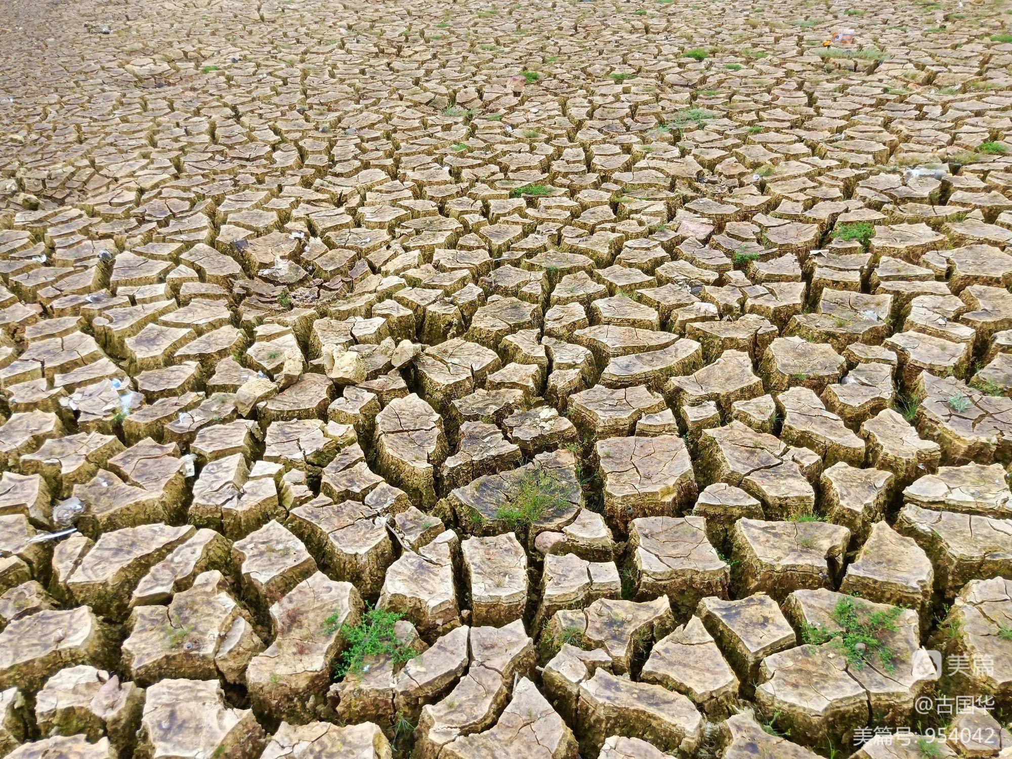 雷州半岛西南部地区长期干旱的原因及治旱措施